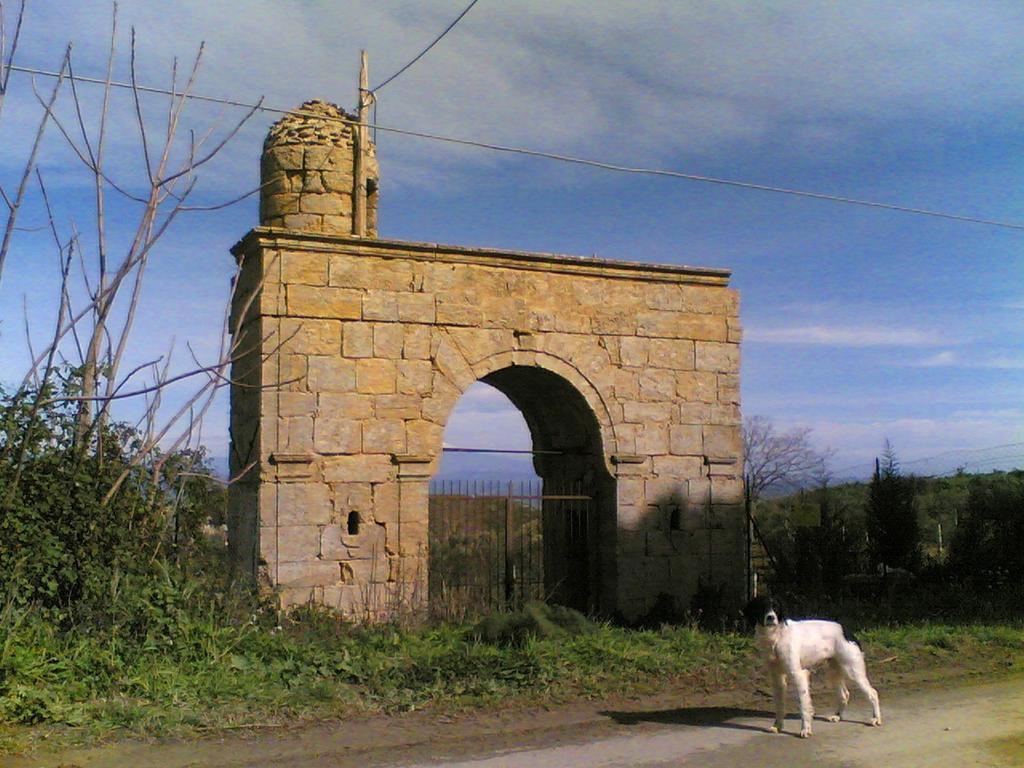 Séjour à la ferme Baglio Pollicarini